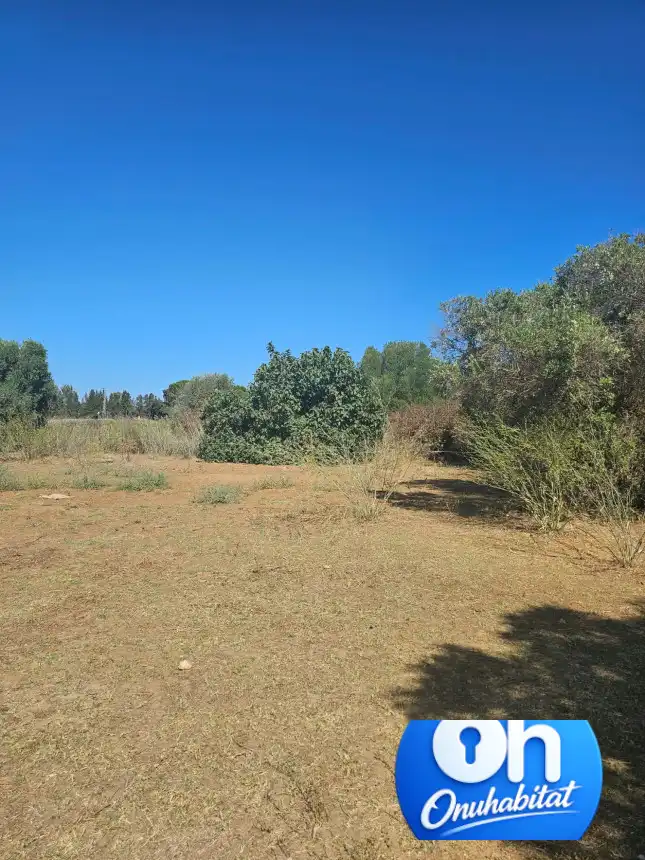 Terrenos y solares en venta en Gibraleón, imagen 15