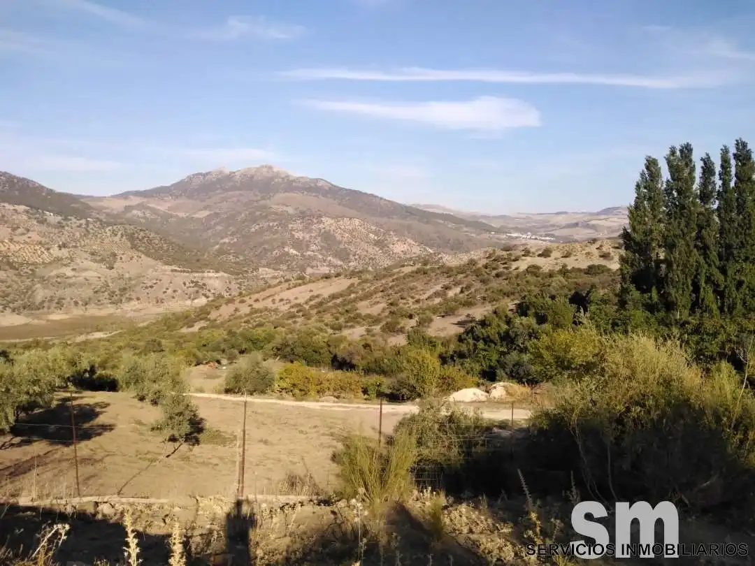 Terreno en venta en Zahara