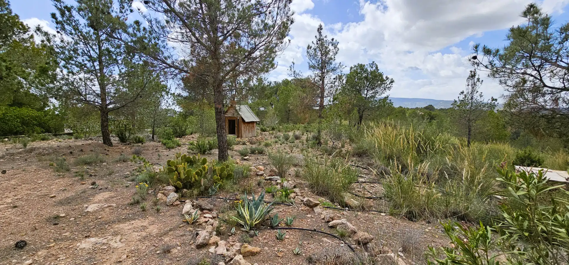 Casa o xalet en venda en Aledo amb Jardí privat, Terrassa i Traster