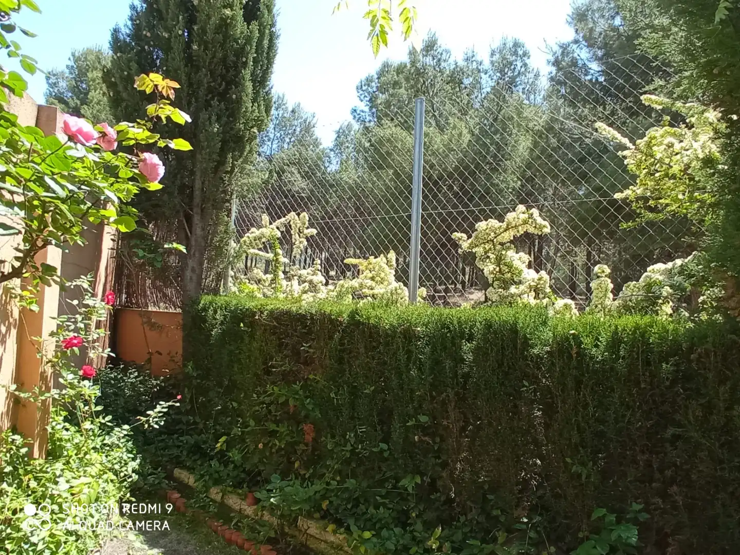 Garden of Detached homes for sale in Villena  with Heating, Private garden and Storage room