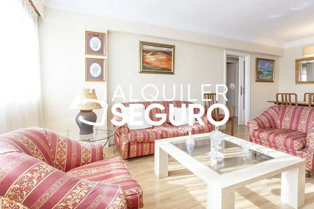 Sala d'estar de Pis de lloguer en Madrid amb Calefacció, Terrassa i Moblat