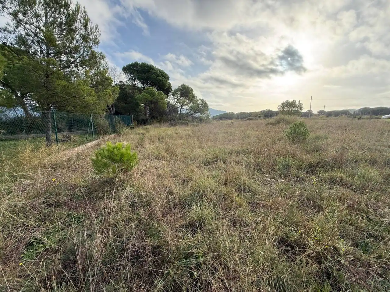 Industrial land for sale in La Torre de Claramunt