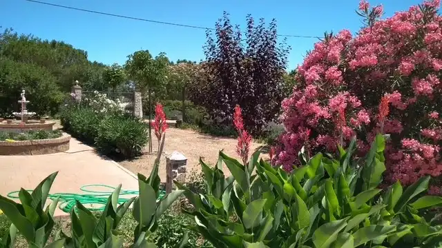 Jardín de Finca rústica en venta en Sonseca con Calefacción, Jardín privado y Terraza
