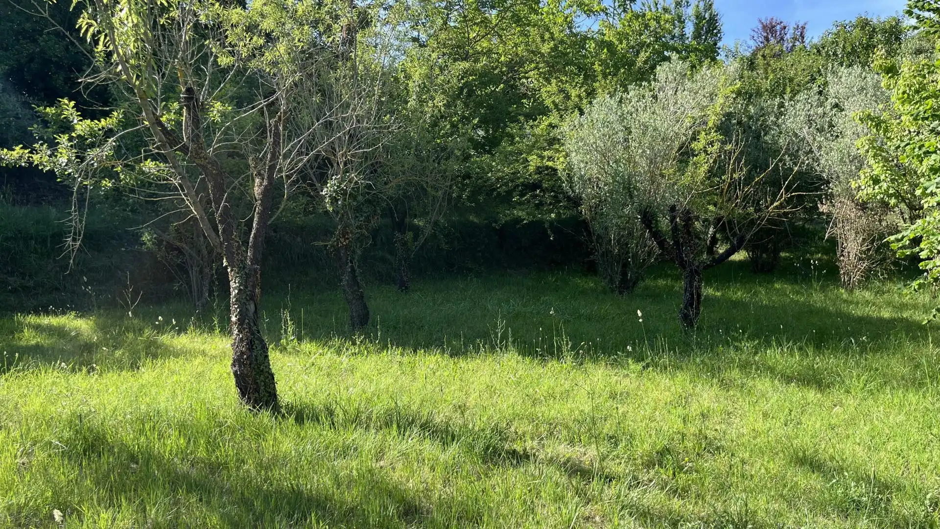 Casa o xalet en venda en Alpens
