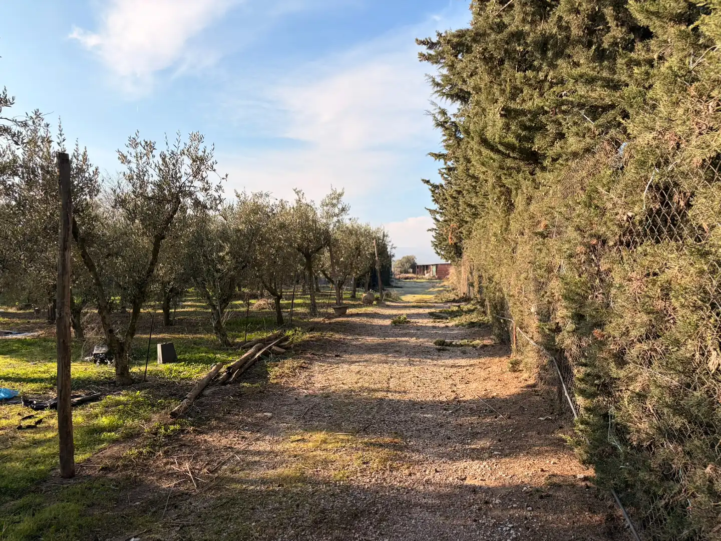 Villa avec jardin à vendre à Les Borges Blanques, imagen 20