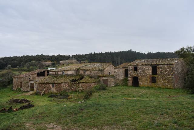 Finca rústica en Venta en Carrer de Sant Feliu de Buixalleu en Massanes