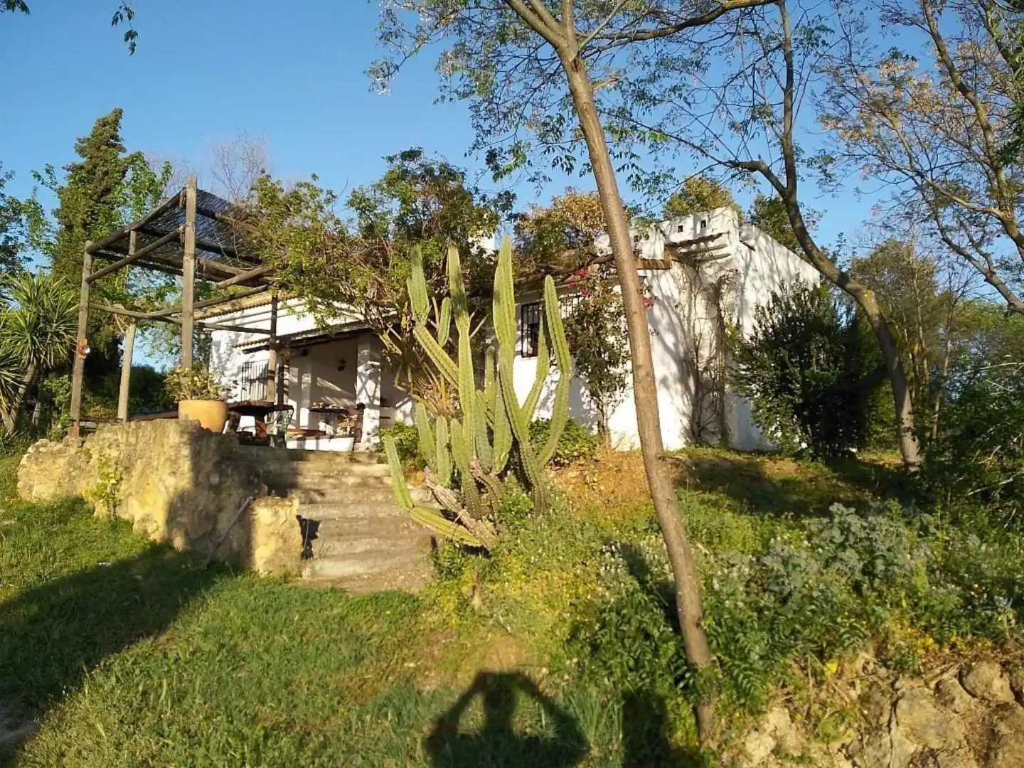 Jardí de Casa o xalet en venda en Sanlúcar la Mayor amb Aire condicionat, Calefacció i Jardí privat