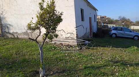 Foto 3 de Casa o chalet en venta en Las Vegas - Campoaras, Lucena