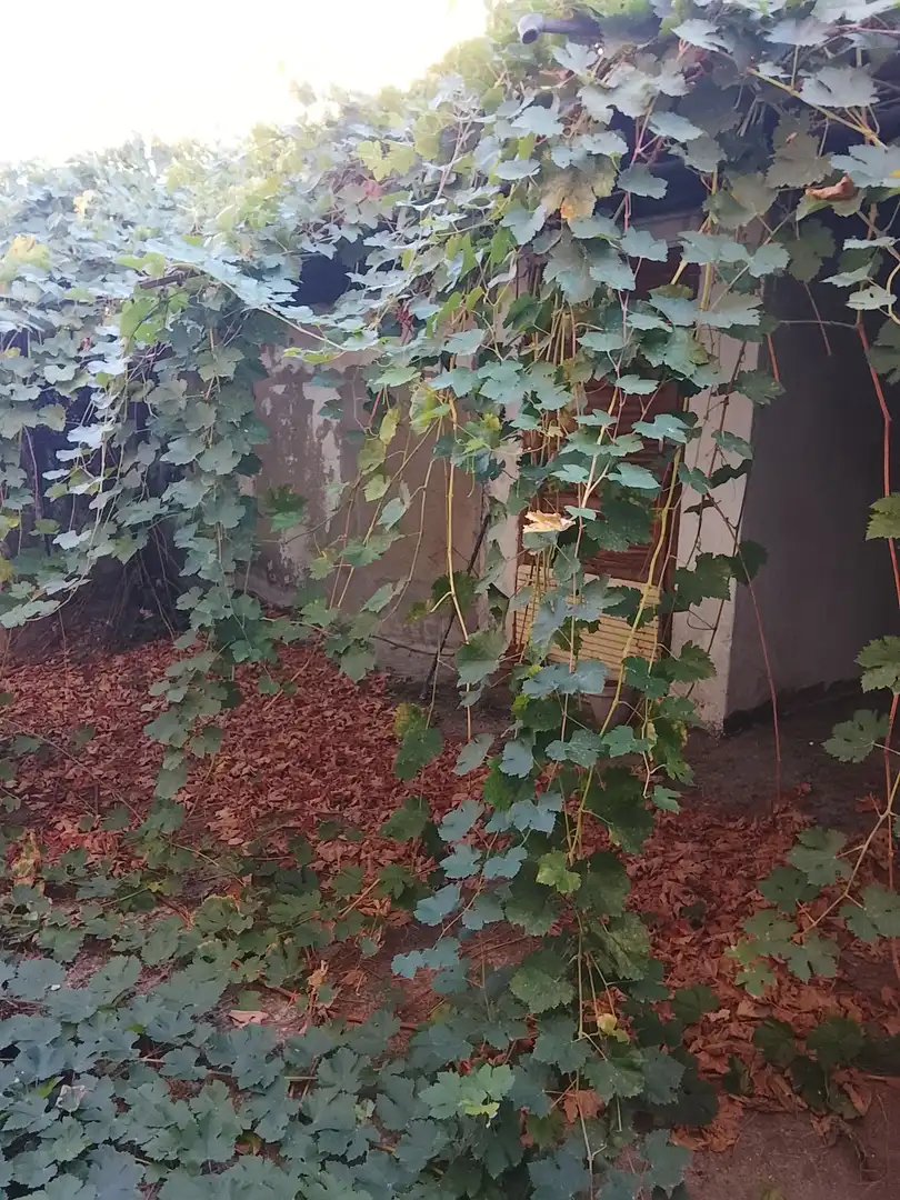 Jardín de Casa o chalet en venta en Arenas de San Pedro con Jardín privado y Trastero