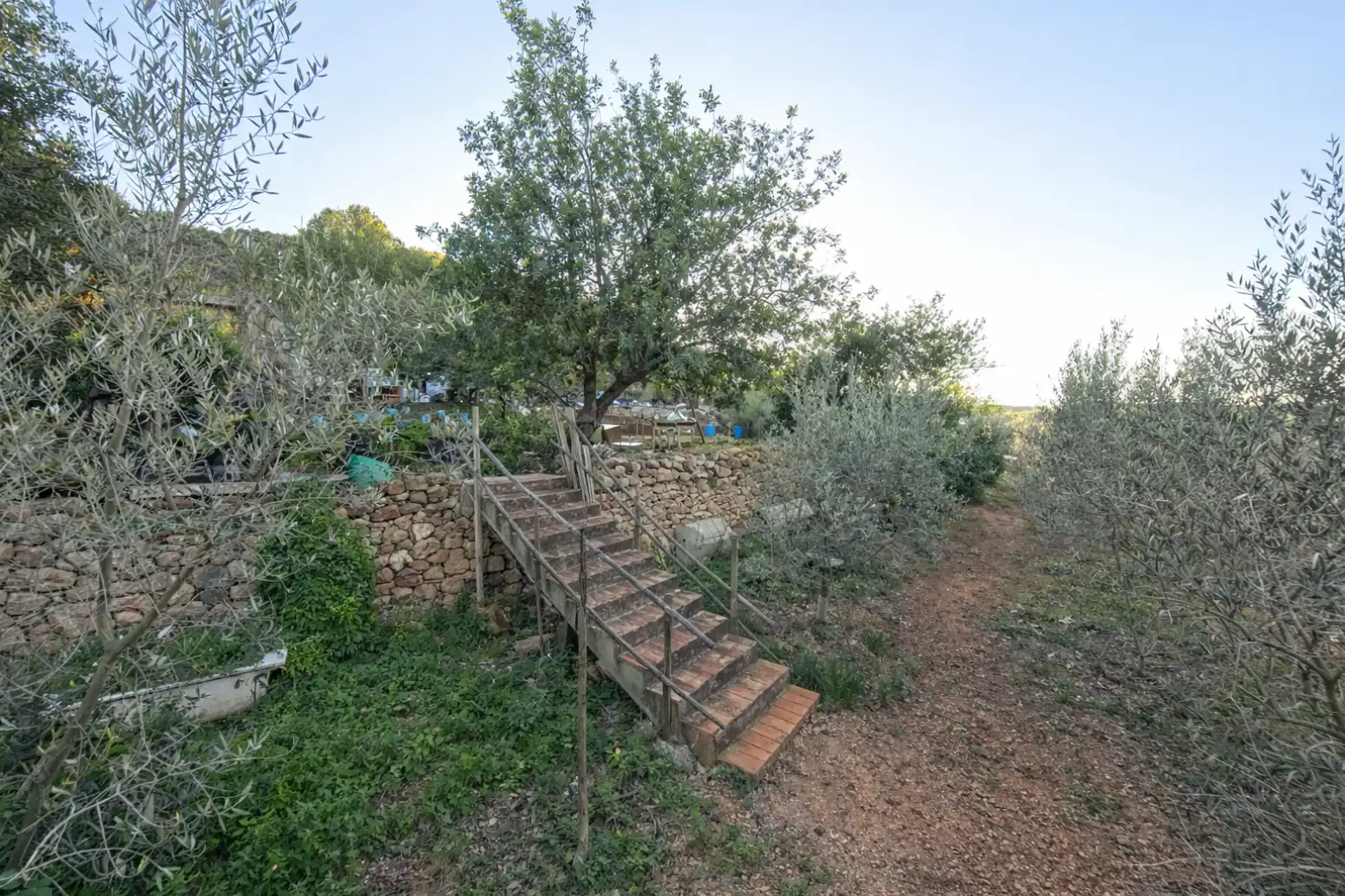 Jardín de Casa o chalet en venta en Algímia de Alfara con Jardín privado, Trastero y Piscina