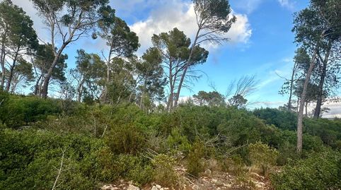 Foto 4 von Grundstücke zum Verkauf in S'Arracó, Andratx