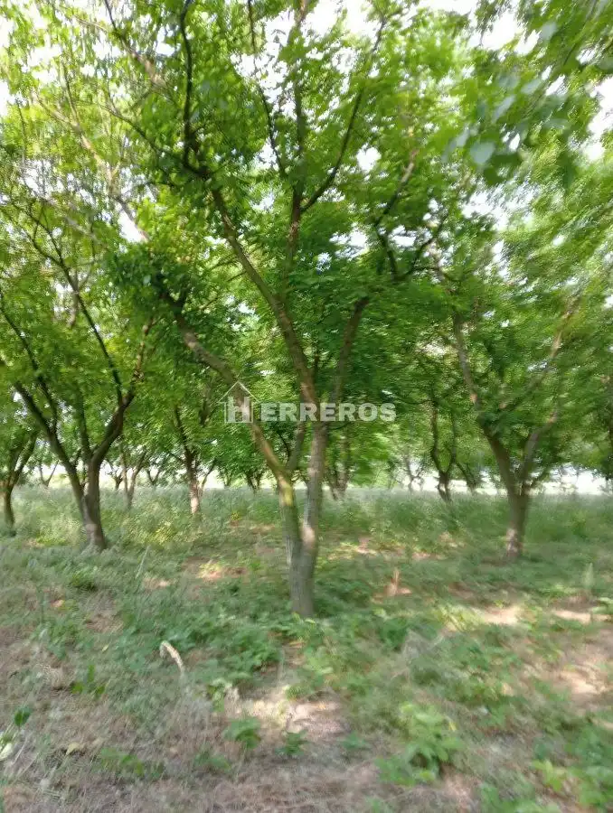 Finca rústica en venda en Arrúbal