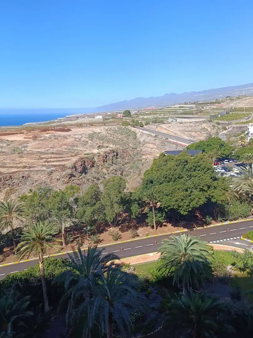 Vista exterior de Apartament en venda en Adeje amb Jardí privat, Terrassa i Piscina comunitària