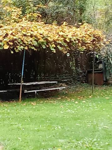 Terreno en Venta en Plaza Cruz, 2 en Noreña