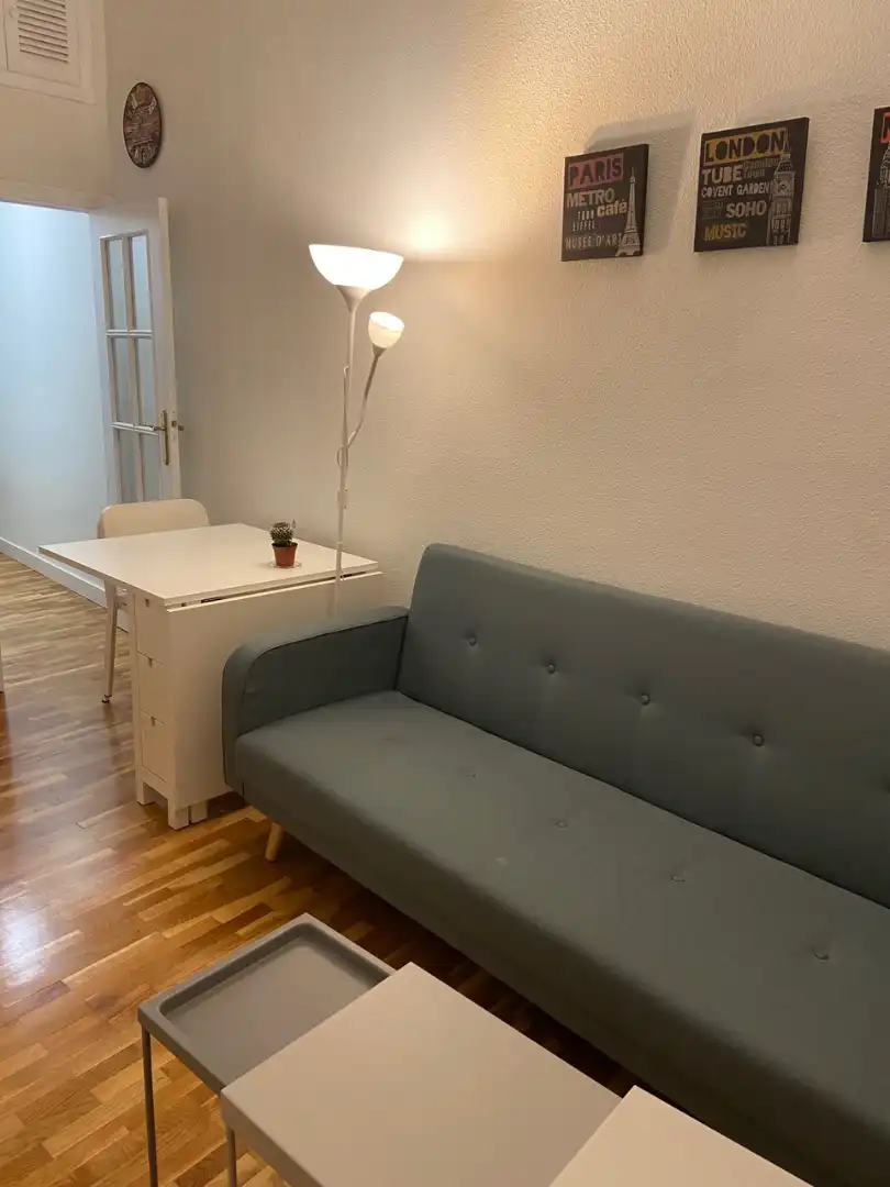 Sala d'estar de Apartament de lloguer en Madrid amb Calefacció, Moblat i Forn
