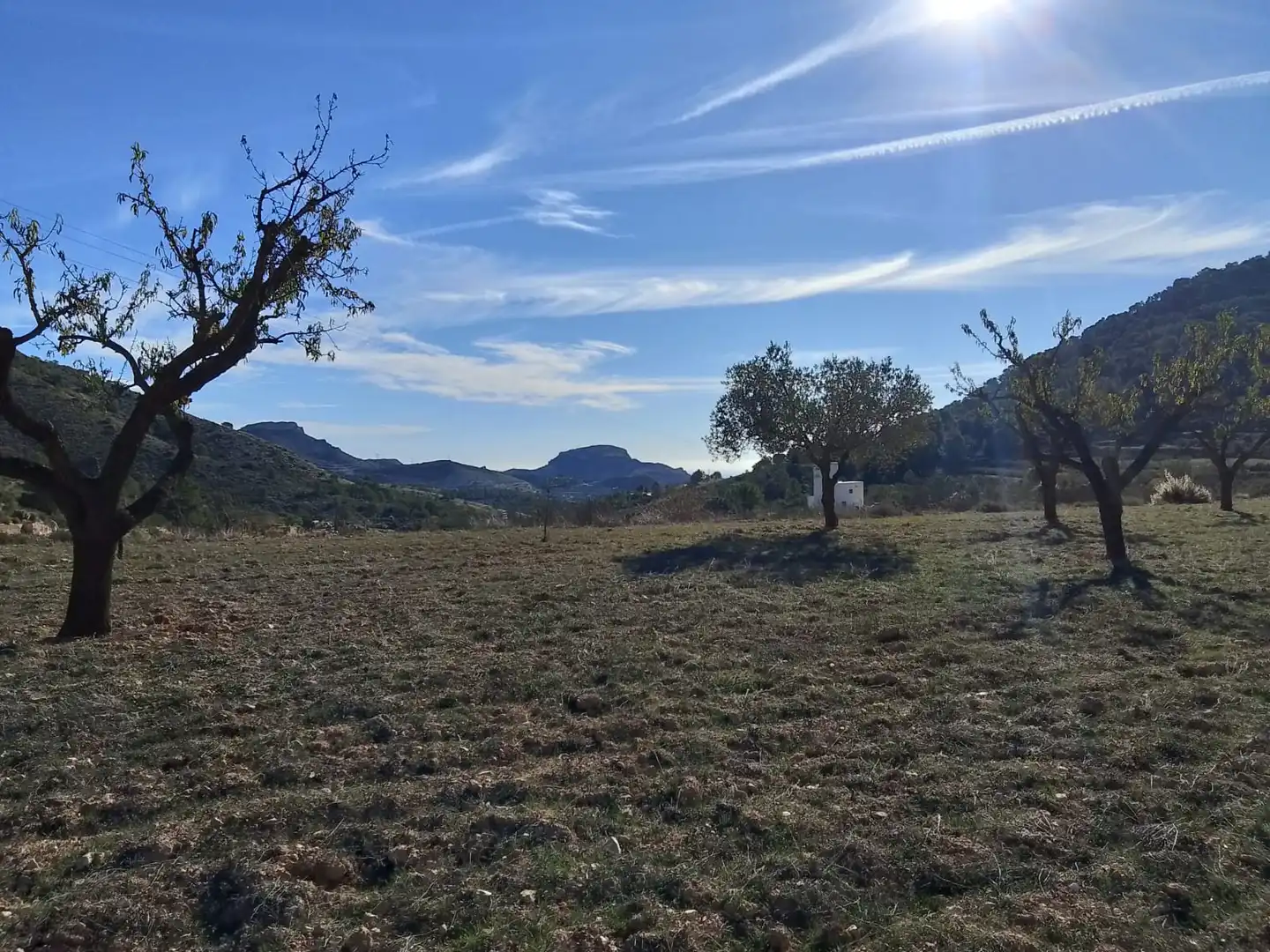 Terreno rustico in vendita a Carrer la Creu, imagen 25