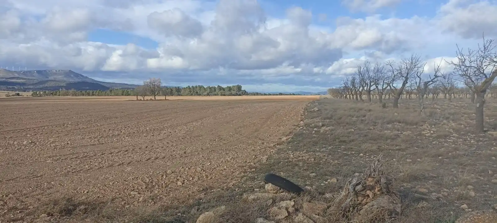 Terreny rústic en venda a Ayora, imagen 10