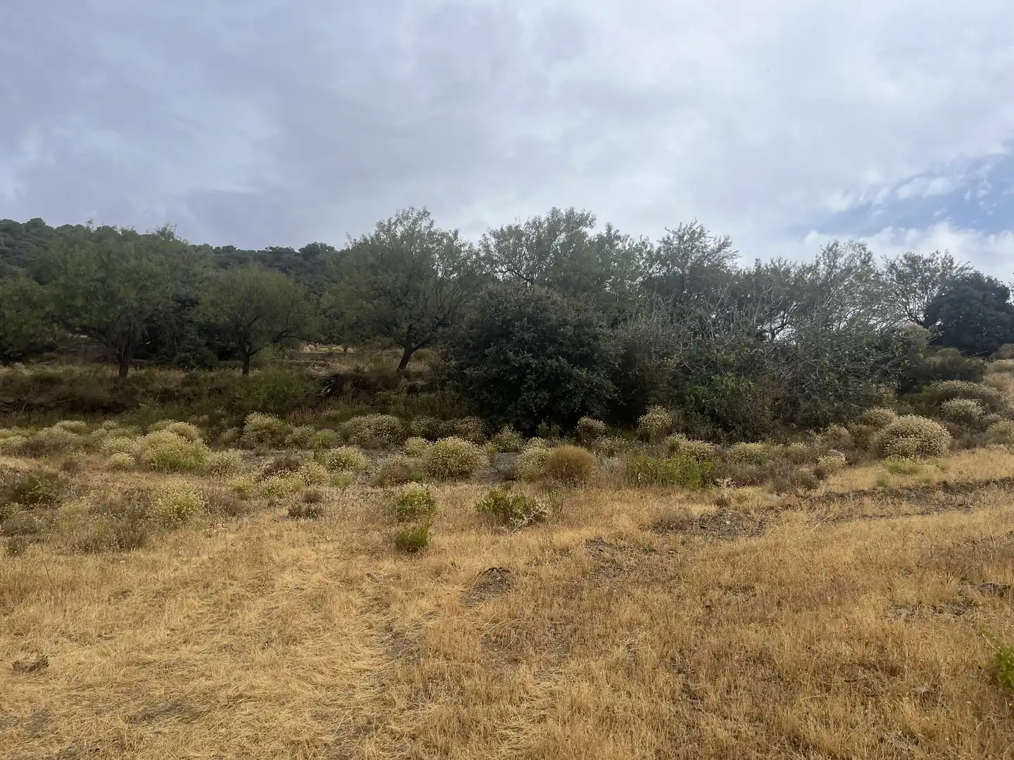 Terreno en venta en La Taha