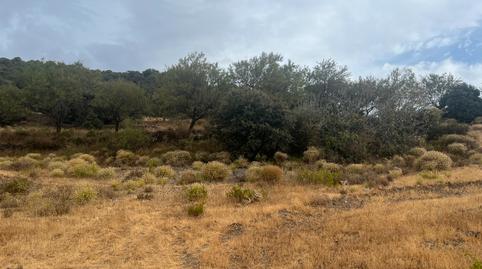 Photo 4 of Land for sale in A-4132, La Taha, Granada