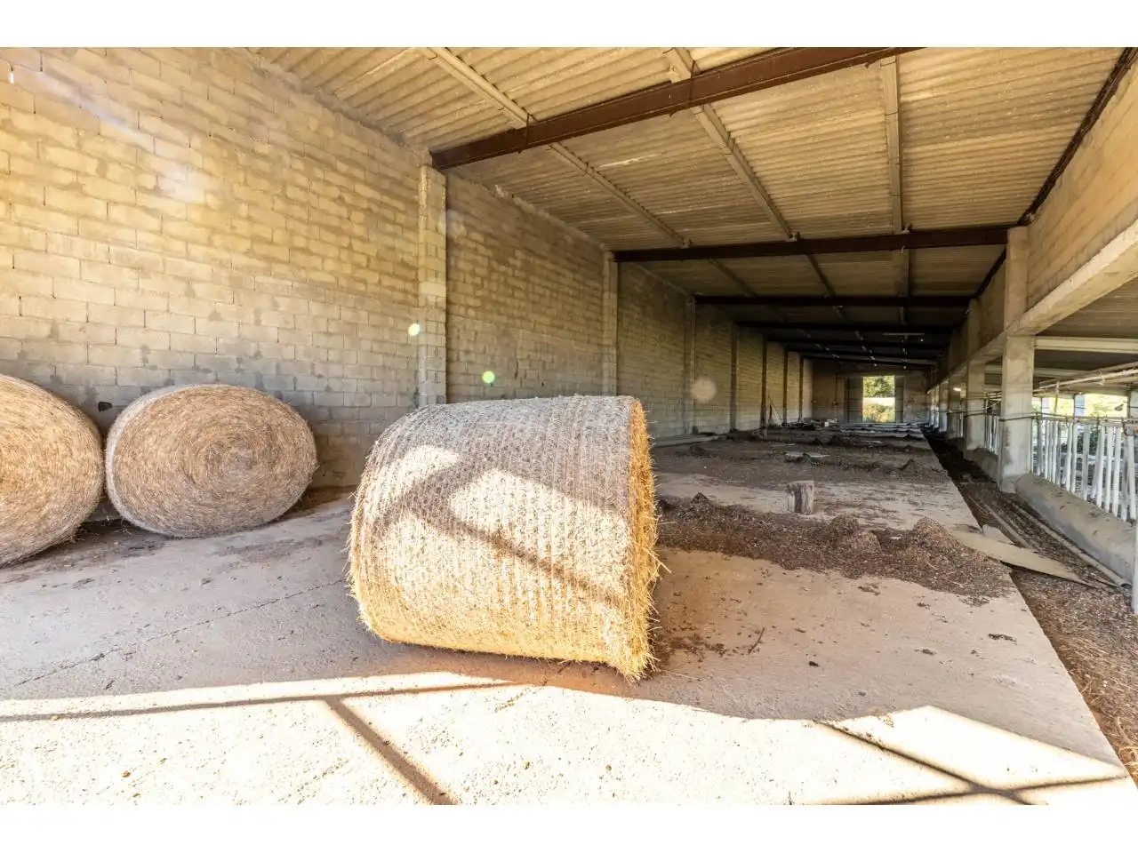 Terreno rustico in vendita a Llucmajor pueblo, imagen 58