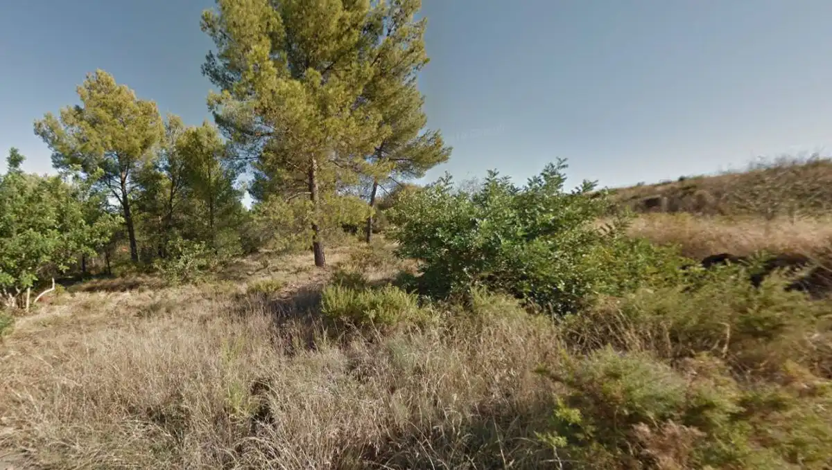 Rural land for sale in Onda, imagen 5