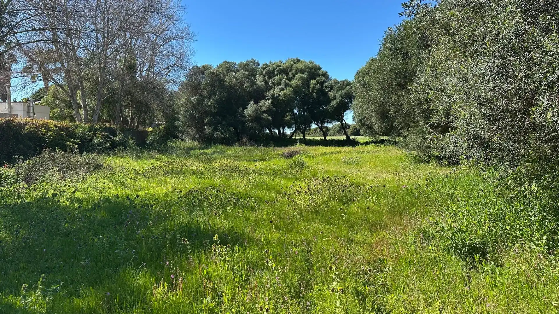 Terreni e lotti in vendita a El Palmar, imagen 5