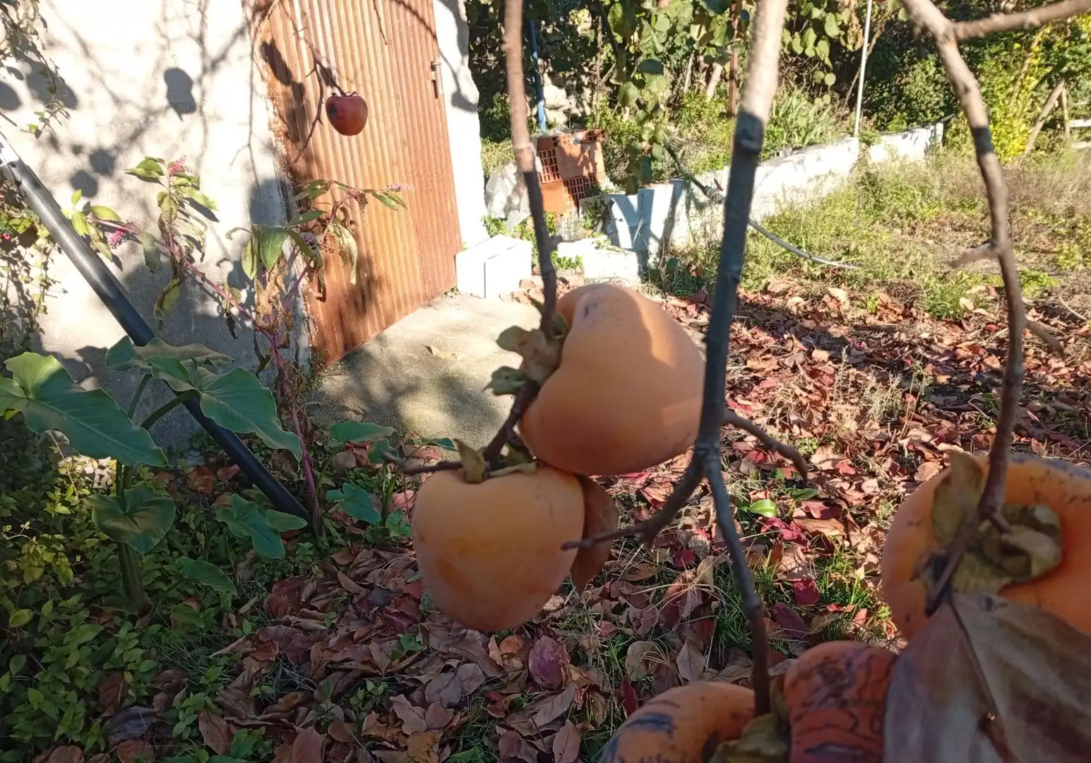 Terreni e lotti in vendita a Villanueva de la Vera, imagen 23