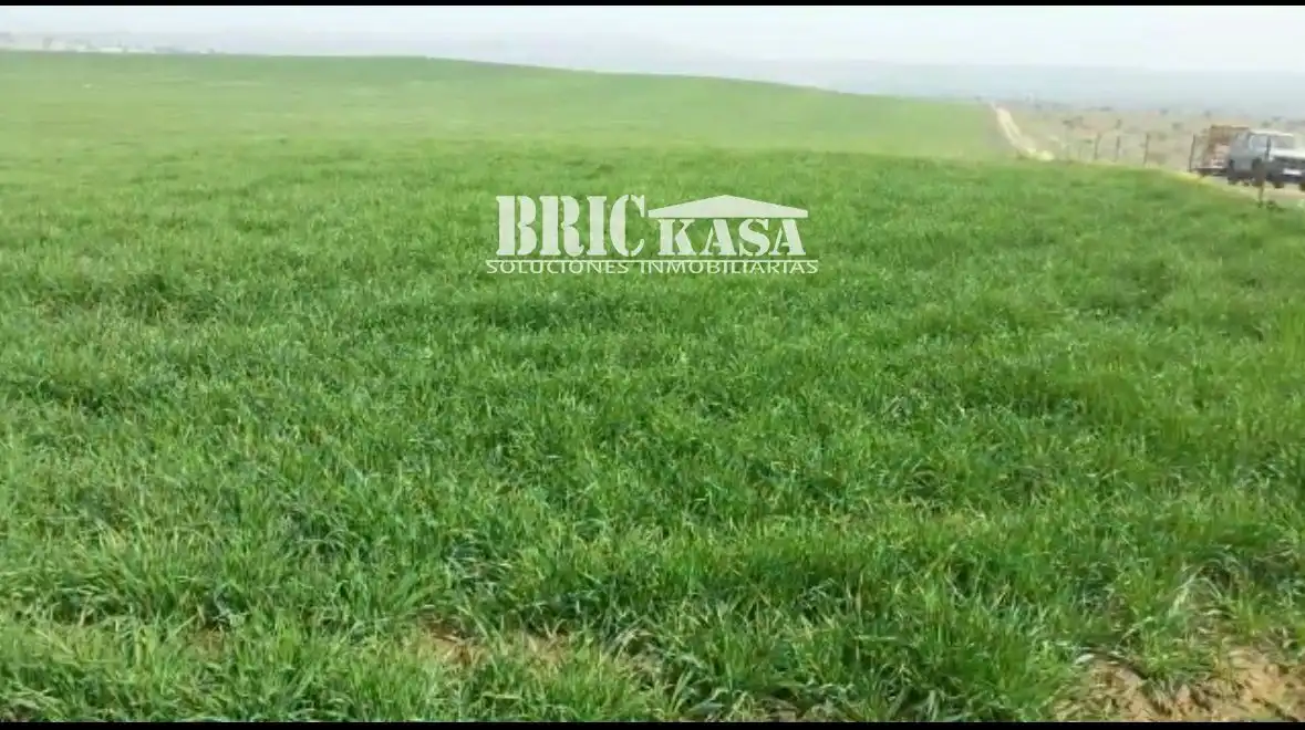 Terreno rustico in vendita a Villafranca de los Barros, imagen 6