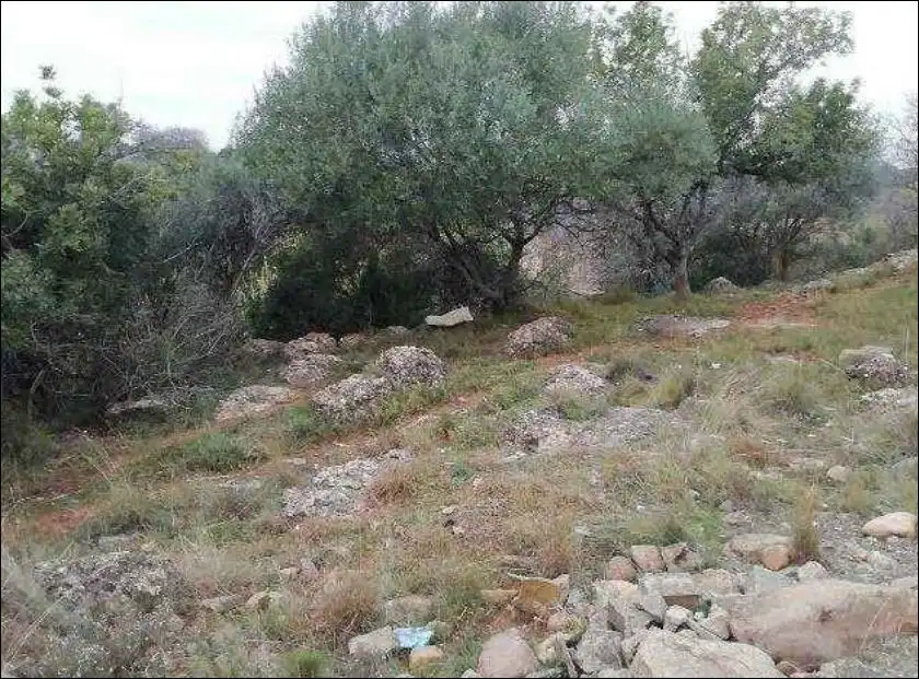 Rural land for sale in C/ de La Fuente, Pol 1, imagen 7