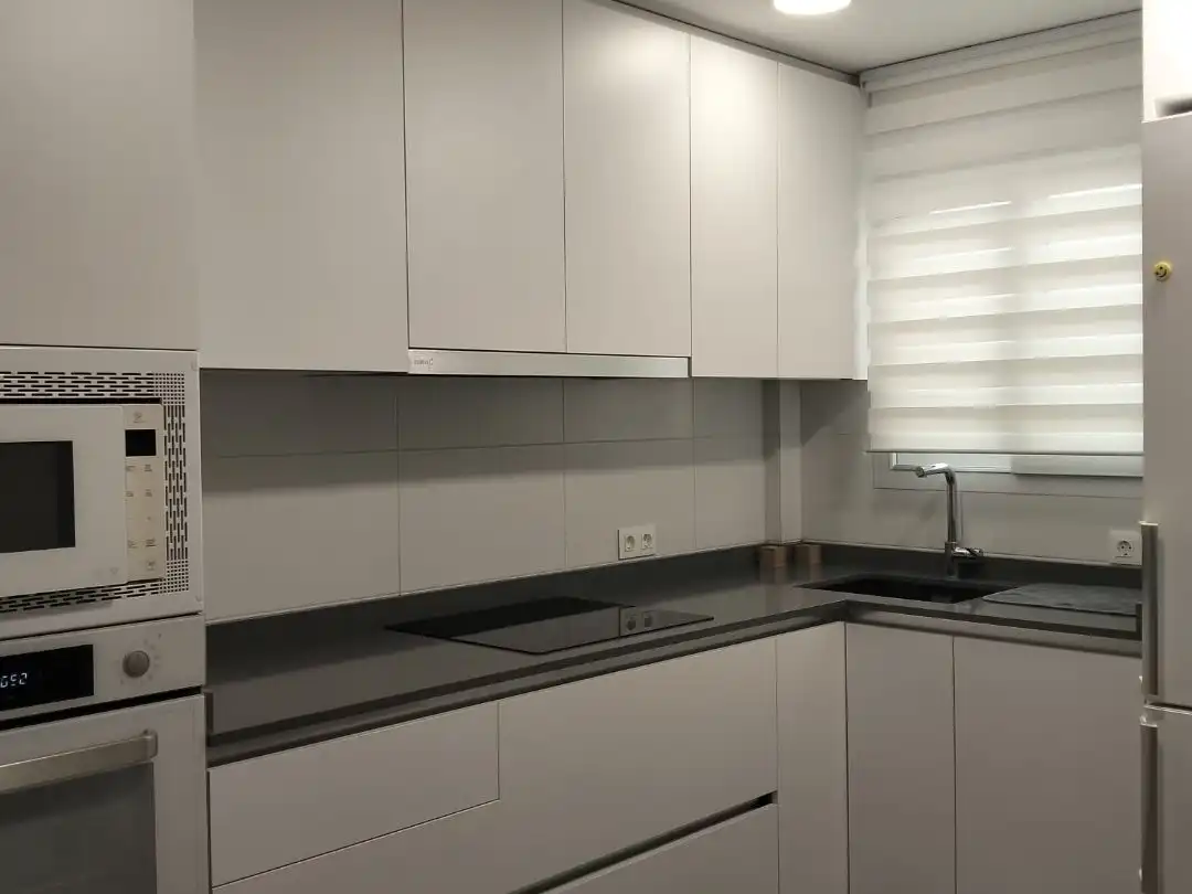 Apartment to rent in AVDA PABLO RUIZ PICASSO 80, imagen 2
