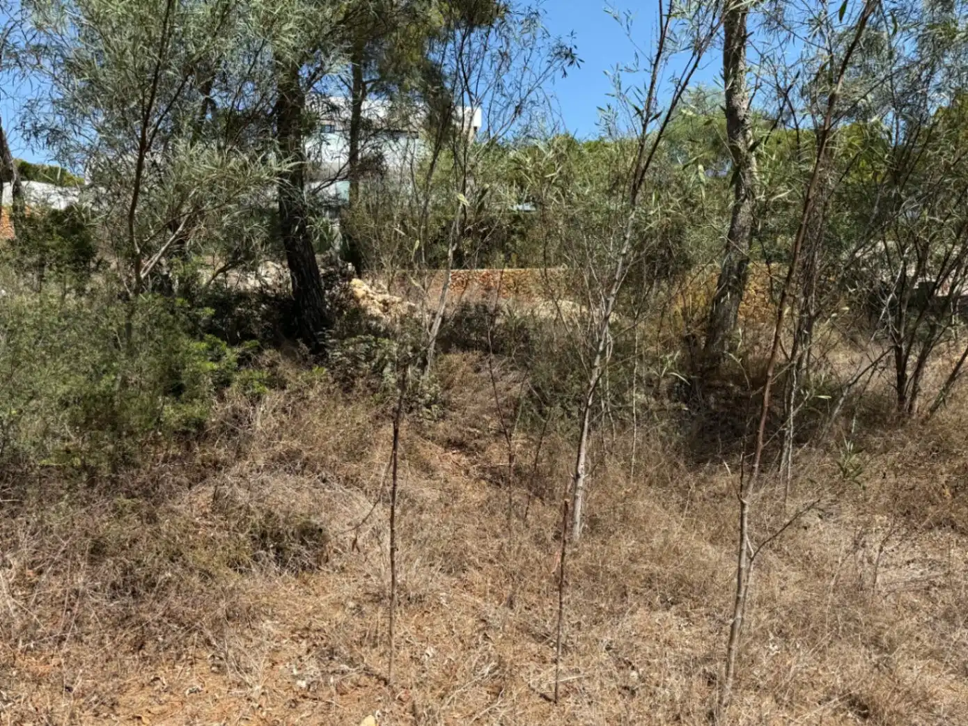 Terreny residencial en venda a Pinar del Advocat - Cometa, imagen 13
