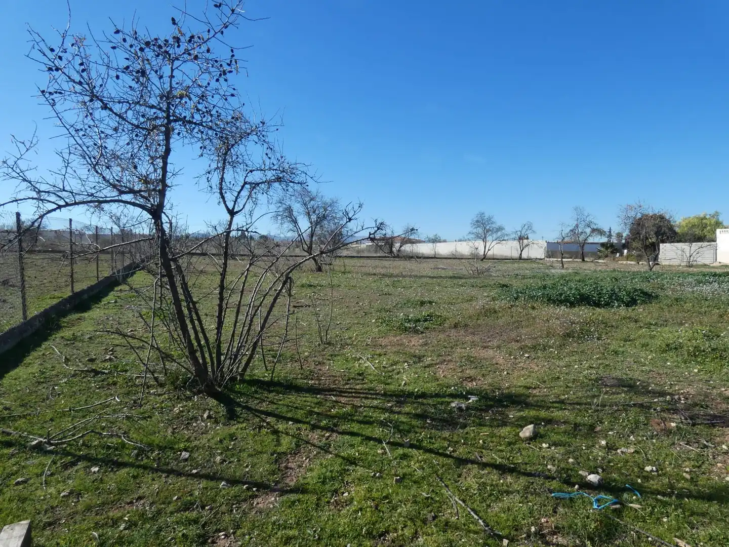 Rustikales Grundstück zum Verkauf in Camino de Tablazos 160, imagen 2