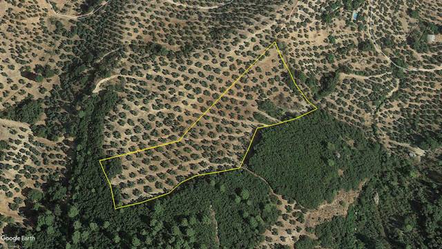 Terreno en Venta en Iznatoraf