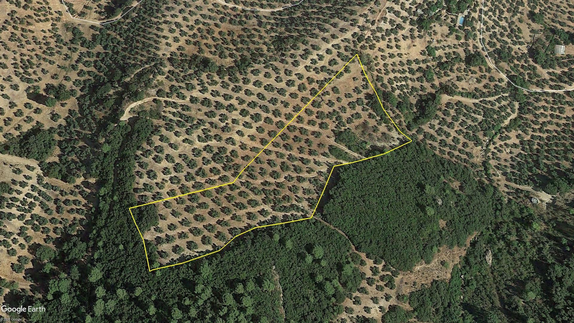 Terreno en venta en Iznatoraf