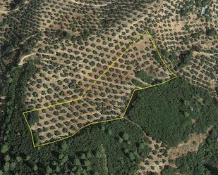 Land for sale in Iznatoraf