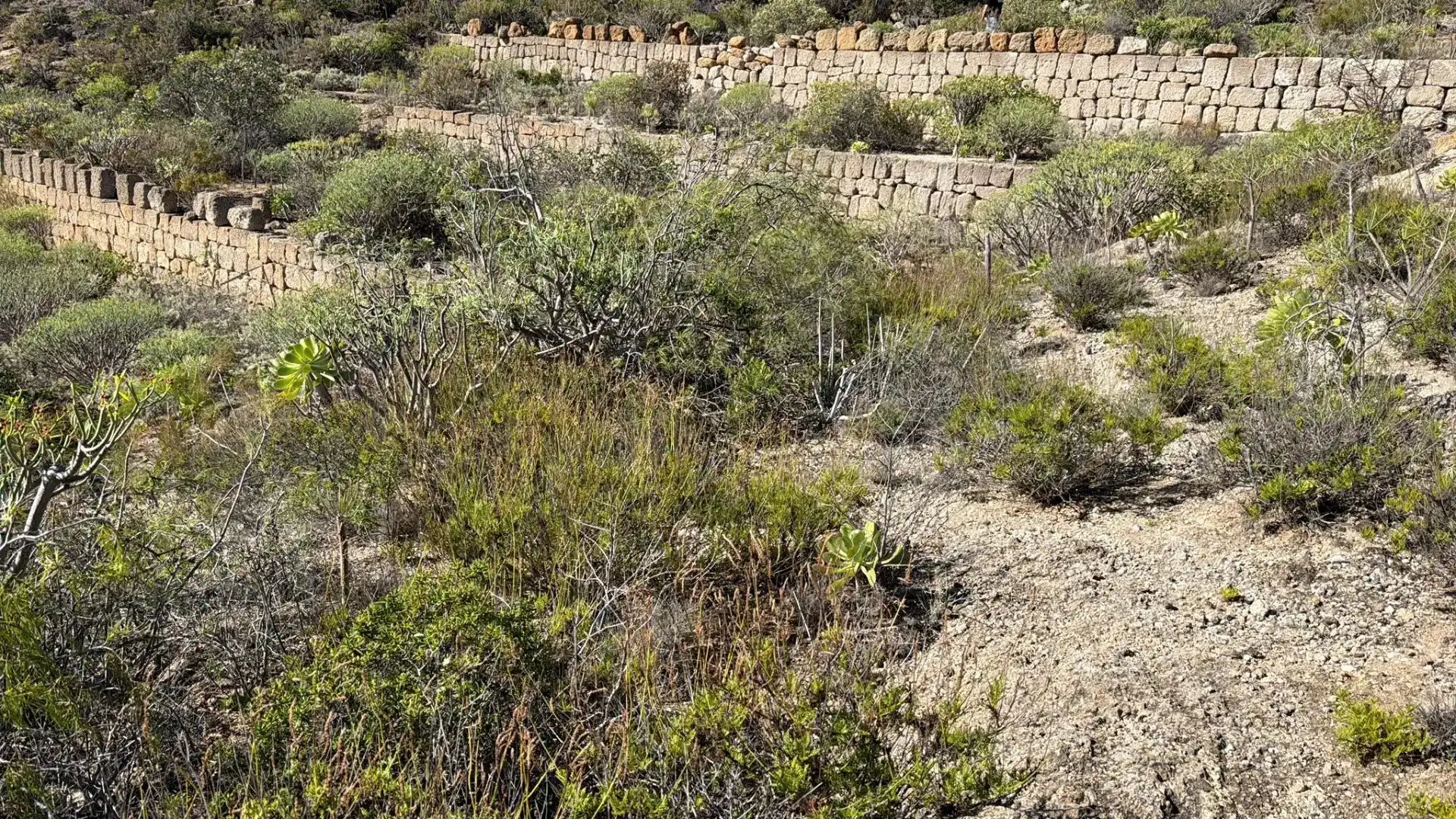 Finca rústica en venda en Fasnia