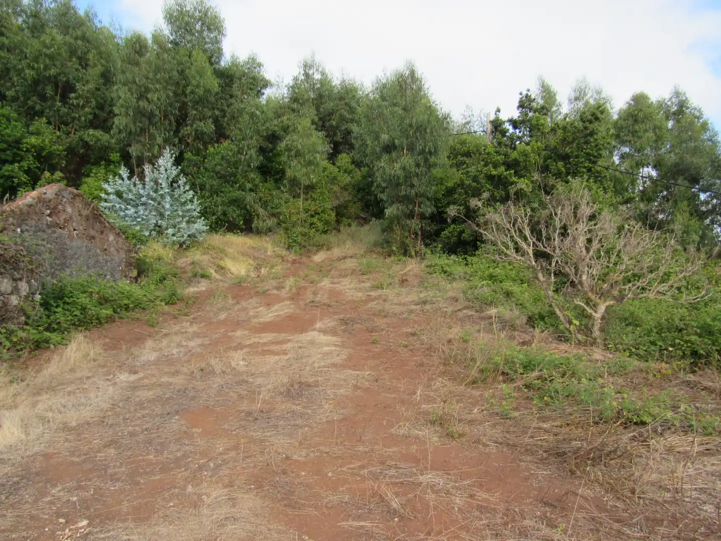 Land for sale in Moya (Las Palmas)
