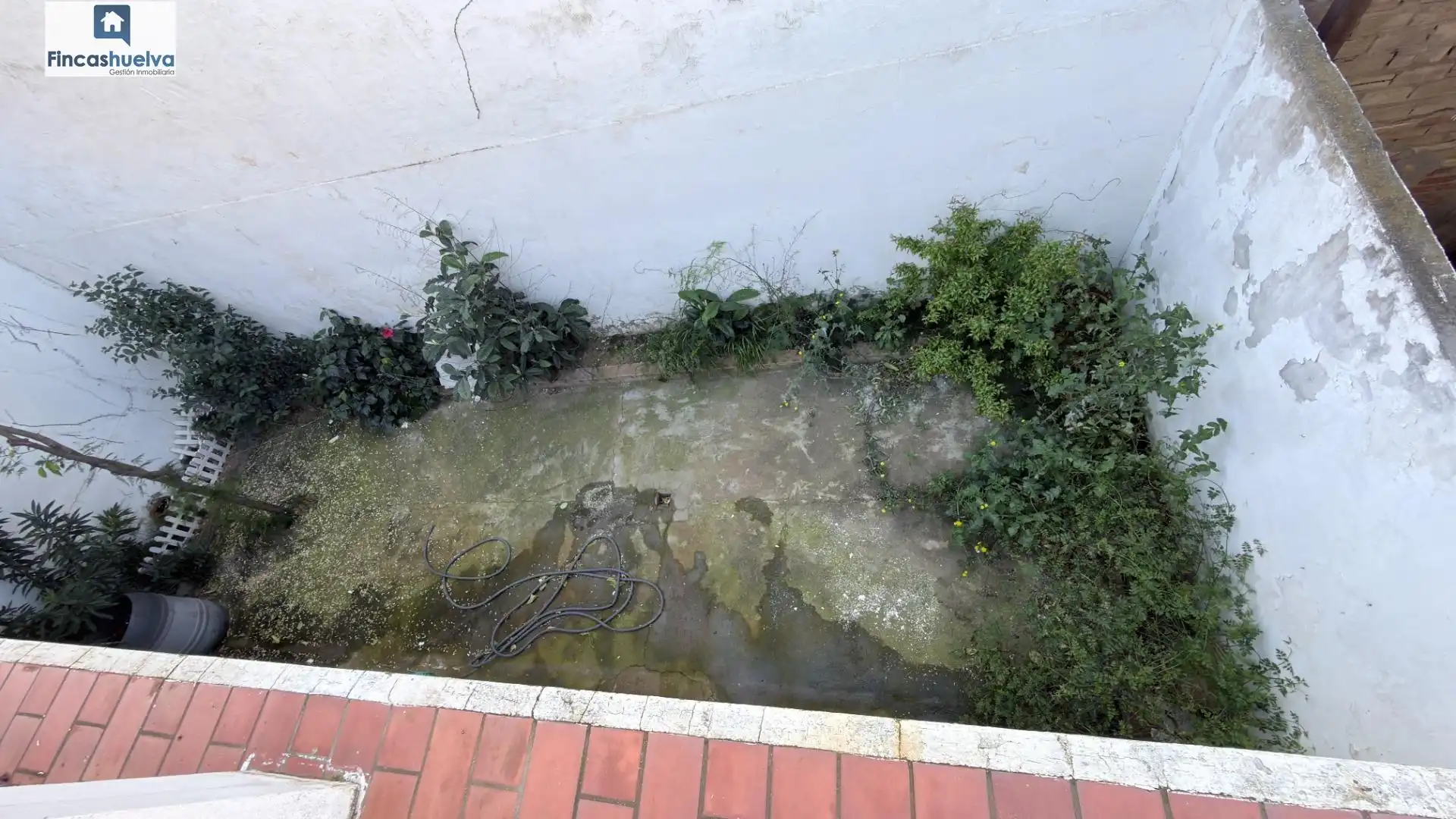 Jardí de Casa adosada en venda en Palos de la Frontera amb Terrassa, Moblat i Balcó