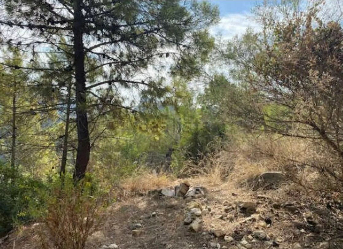 Residential for sale in Benahavís