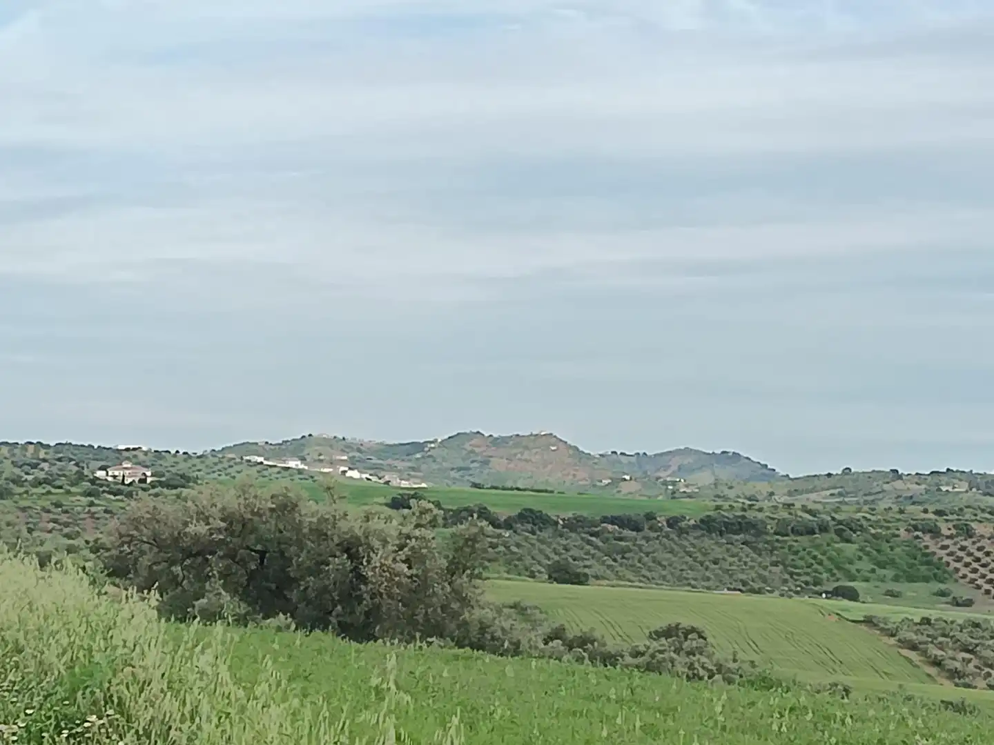 Terreny residencial en venda a Centro, imagen 11