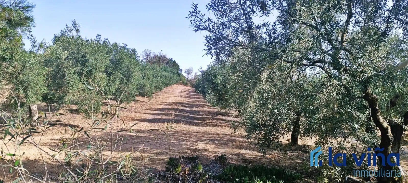 Lands and plots for sale in Bobadilla - Bobadilla Estación - La Joya
