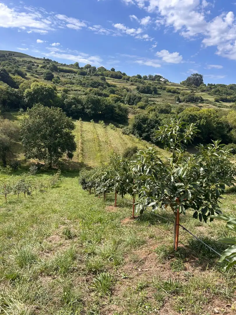 Country house zum Verkauf in El Callejo - La Pesquera - La Arenosa 