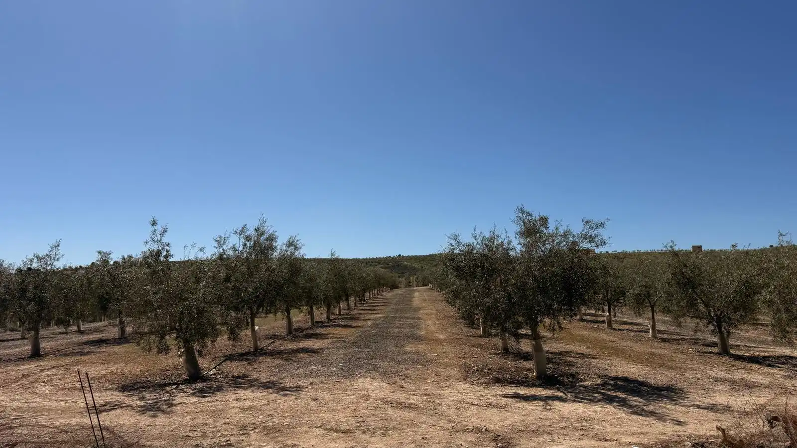 Land for sale in Ventas de Huelma