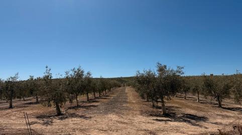 Foto 2 de Terreno en venta en N/a, -1, Ventas de Huelma, Granada