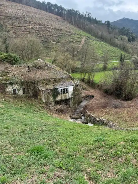 Vista exterior de Finca rústica en venta en Castropol