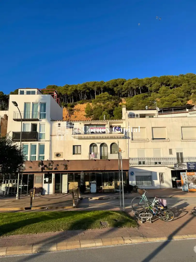 Autres à vendre à Paseo Marítimo