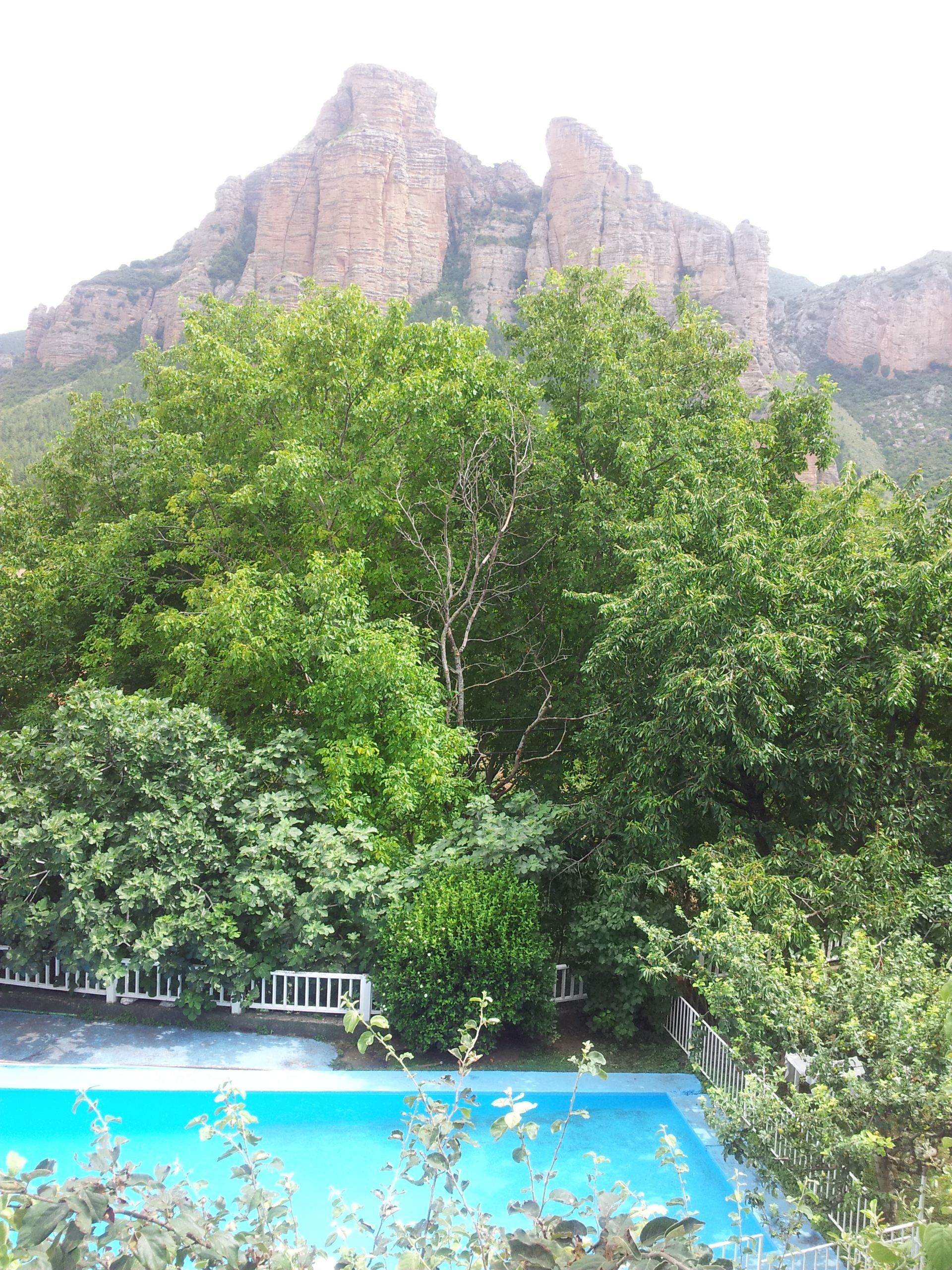 Casa o xalet en venda en Nalda amb Calefacció, Jardí privat i Terrassa