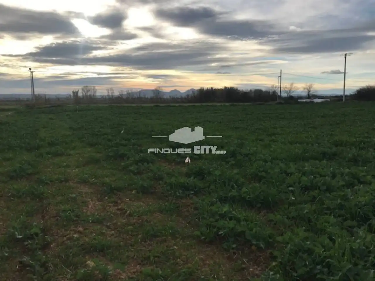Rural land for sale in Calle Del mitj 5, imagen 5