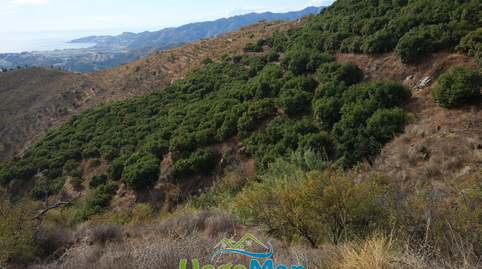 Foto 5 de Residencial en venta en Alfamar, Monte los Almendros - El Pargo - Costa Aguilera, Granada