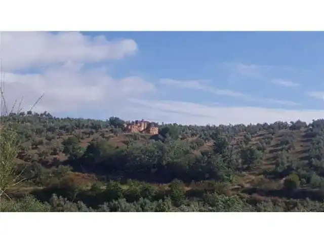 Terreni e lotti in vendita a Huelma